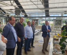 Governo do Paraná estreita relações com instituições de pesquisa e inovação agrícola dos EUA