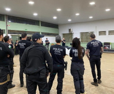  PCPR deflagra operação contra tráfico de drogas em Paranavaí