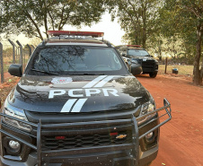  PCPR deflagra operação contra tráfico de drogas em Paranavaí