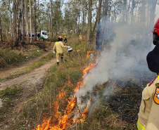 -Bombeiros voluntários do Programa de Incêndios na Natureza