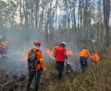 -Bombeiros voluntários do Programa de Incêndios na Natureza