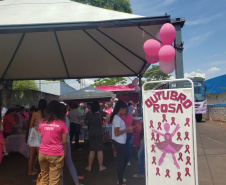 SESA PARANÁ ROSA
