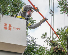 COPEL OBRAS, MANUTENÇÃO REDE