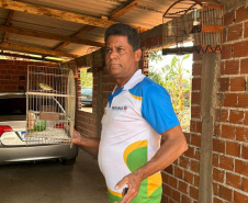Técnicos do IAT aprenderam 15 aves em criadouros irregulares no Noroeste do Paraná