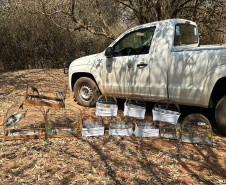 Técnicos do IAT aprenderam 15 aves em criadouros irregulares no Noroeste do Paraná