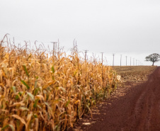 IAT e Incra formalizam parceria para regularizar assentamentos de reforma agrária no Paraná