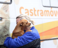 Programa Castrapet Paraná será retomado em novembro com o atendimento de mais de 35 mil animais, entre cães e gatos