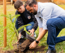 Em comemoração ao dia da árvore, Educação lança projeto AgroFloresta, em Irati