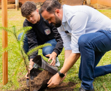 Em Irati, Educação lança projeto para o plantio de 40 mil mudas de árvores nativas