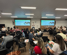 Atendimento SUS: curso forma profissionais da saúde para aplicação da técnica de auriculoterapia 