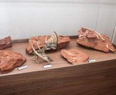 Município recebe título de "Vale Nacional dos Dinossauros" e mostra potencial do Paraná no turismo científico