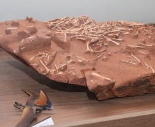 Município recebe título de "Vale Nacional dos Dinossauros" e mostra potencial do Paraná no turismo científico