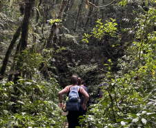 Na trilha certa, equipamentos de segurança e cuidados com a fauna e a flora: IAT elaborou um guia de bom comportamento para os usuários de parques estaduais.