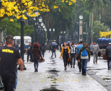 SESA ORIENTA ALERGIAS PRIMAVERA