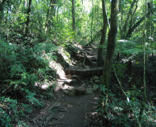 IAT BAITACA