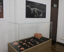Vale dos Dinossauros: Cruzeiro do Oeste recebe título e destaca Paraná em turismo científico