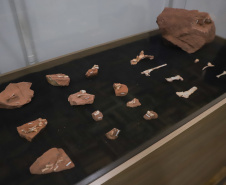 Vale dos Dinossauros: Cruzeiro do Oeste recebe título e destaca Paraná em turismo científico
