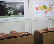 Vale dos Dinossauros: Cruzeiro do Oeste recebe título e destaca Paraná em turismo científico