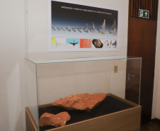 Vale dos Dinossauros: Cruzeiro do Oeste recebe título e destaca Paraná em turismo científico