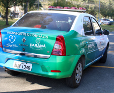 SESA Dia Nacional da Doação de Órgãos
