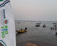 IAT RIO VIVO
