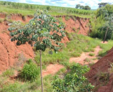 DER/PR vai investir mais de R$ 600 mil para combater erosão na PR-323 em Tapejara 
