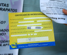 Programa Castrapet Paraná será retomado em novembro com o atendimento de mais de 35 mil animais, entre cães e gatos