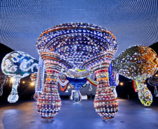 Últimos dias da exposição “Extravagâncias” de Joana Vasconcelos no MON