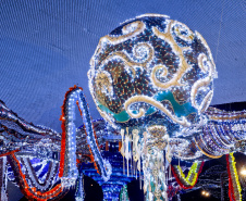 Últimos dias da exposição “Extravagâncias” de Joana Vasconcelos no MON