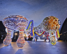 Últimos dias da exposição “Extravagâncias” de Joana Vasconcelos no MON