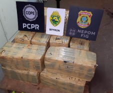 APREENSÃO DROGAS