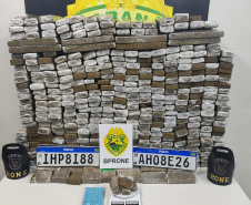 APREENSÃO DROGAS