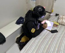 Operação Caim e Abel