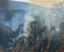 BOMBEIROS QUEIMADA