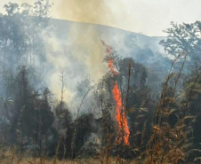 BOMBEIROS QUEIMADA