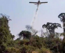 BOMBEIROS QUEIMADA