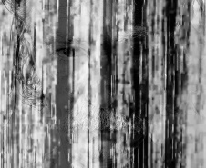  MIS-PR apresenta a exposição multissensorial "Desver", de Ivana Cassuli e Marcelo Borges Eggers