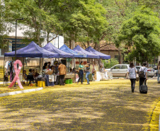 Pavilhão científico encanta visitantes e abre Paraná Faz Ciência na UEM
