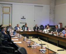 Reunião técnica dos integrantes do Codesul