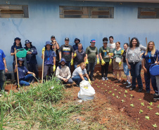 SANEPAR HORTAS COMUNITÁRIAS ARAPONGAS