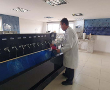 Sanepar intensifica aplicação de produtos para tratar água do Tibagi