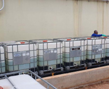Sanepar intensifica aplicação de produtos para tratar água do Tibagi