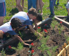 Estudantes de União da Vitória recebem Jardim de Água e Mel da Sanepar