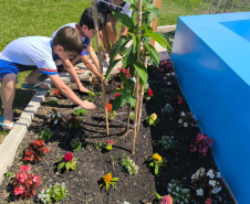 Estudantes de União da Vitória recebem Jardim de Água e Mel da Sanepar
