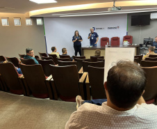 DETRAN LEILOA VEÍCULOS RECICLAGEM