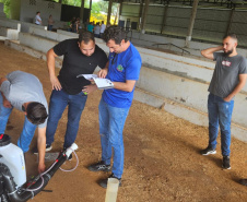 SESA CAPACITA DENGUE