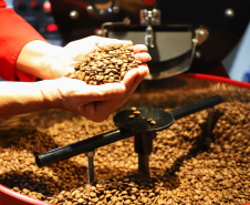 Mesmo com menor produção, café garante mais rendimento ao produtor