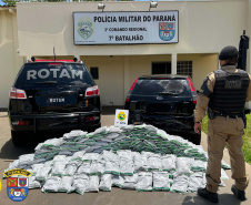 PMPR apreende 300 kg de agrotóxicos contrabandeados em Cruzeiro do Oeste