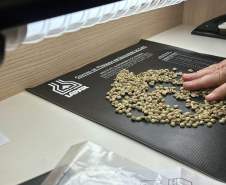 Concurso Café Qualidade Paraná dá início ao julgamento dos lotes inscritos