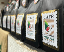 Concurso Café Qualidade Paraná dá início ao julgamento dos lotes inscritos